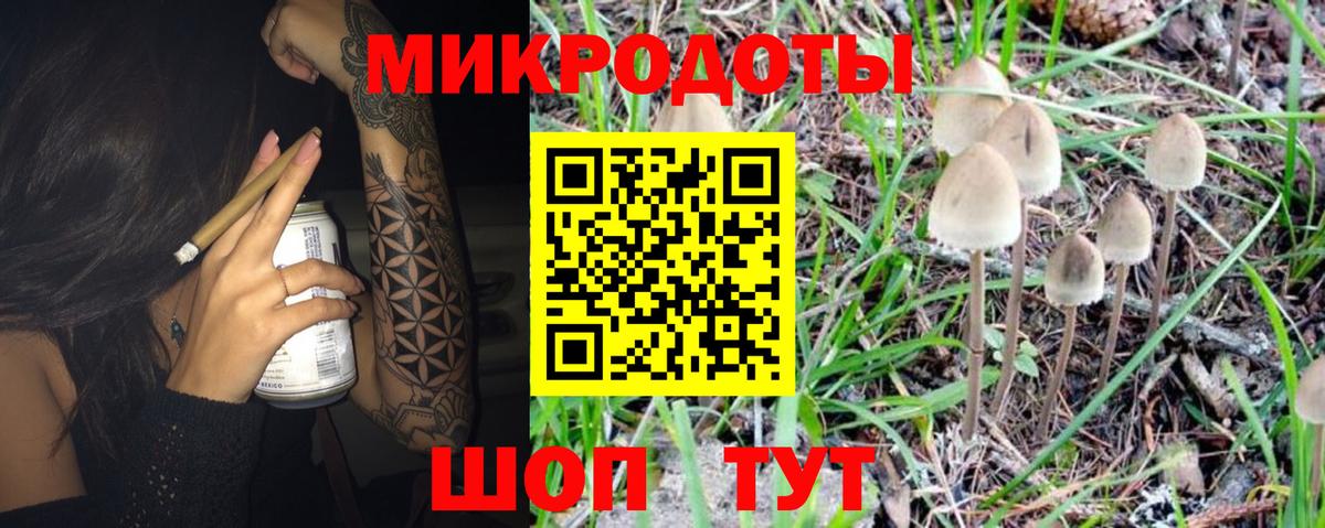 Галлюциногенные грибы мухоморы Муром