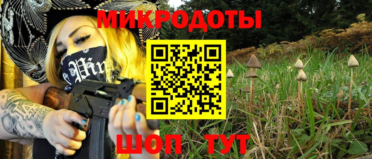 Муром  цены наркотик  Вход с VPN  Галлюциногенные грибы GOLDEN TEACHER  Галлюциногенные грибы Psilocybine cubensis 
